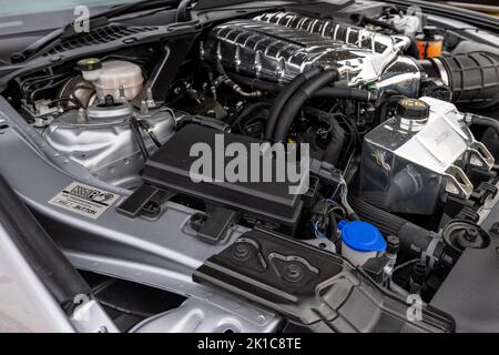 Clive Sutton CS850R Supercharged Ford Mustang, in mostra al Salone Privé Concours d’Elégance Motor Show tenutosi a Blenheim Palace Foto Stock