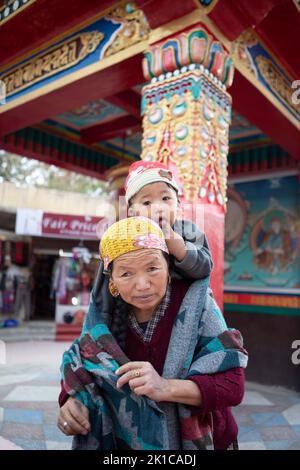 Donna Ladakhi che porta il nipote sulle spalle, Leh, Ladakh, India Foto Stock