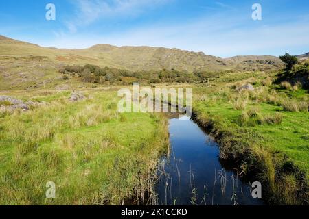 Piccolo fiume che scorre attraverso Gleninchaquin Park, County Kerry, Irlanda - John Gollop Foto Stock