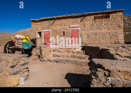 Rifugio Tarkeddit, trekking Ighil M'Goun, catena montuosa dell'Atlante, marocco, africa. Foto Stock