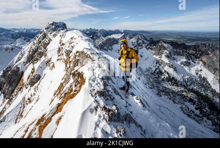 Arrampicatori su una stretta cresta rocciosa nevosa, dietro il crow di picco, vista del panorama di montagna, escursioni a Ammergauer Hochplatte, in autunno, Alpi Ammergau Foto Stock