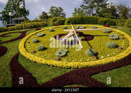 L'horloge fleurie, o orologio a fiori, è un orologio a fiori all'aperto situato sul lato occidentale del parco Jardin Anglais, Ginevra, Svizzera Foto Stock