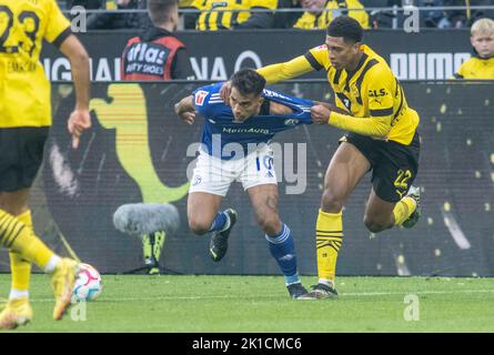 Dortmund, Germania. 17th Set, 2022. Calcio: Bundesliga, Borussia Dortmund - FC Schalke 04, Giornata 7, Signal Iduna Park. Jude Bellingham di Dortmund e Rodrigo Zalazar combattono per la palla. Credit: Bernd Thissen/dpa - NOTA IMPORTANTE: In conformità ai requisiti della DFL Deutsche Fußball Liga e del DFB Deutscher Fußball-Bund, è vietato utilizzare o utilizzare fotografie scattate nello stadio e/o della partita sotto forma di sequenze di immagini e/o serie di foto simili a video./dpa/Alamy Live News Foto Stock