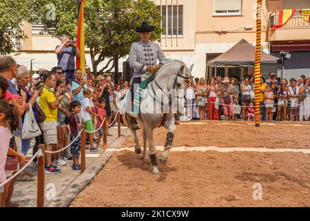 Uomo che esegue lo spettacolo di equitazione dressage spagnolo, durante la giornata annuale del cavallo. Fuengirola, Andalusia, Costa del Sol, Spagna. Foto Stock