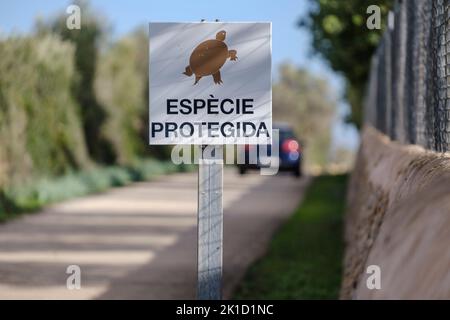 Avvertimento per la protezione della tartaruga spur-highed, Llucmajor, Mallorca, Isole Baleari, Spagna. Foto Stock