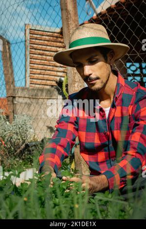 Contadino nero accanto a piccolo giardino di verdure modesto nelle giornate di sole. Coltivatore con cappello in fattoria. Foto Stock