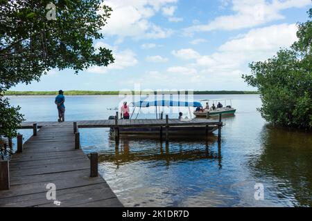 Riserva della biosfera di Celestun, Yucatan, Messico Foto Stock