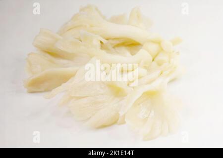 Pleurotus ostreatus, il fungo dell'ostrica, il fungo dell'ostrica, o hiratake, è un fungo commestibile comune ed è cresciuto commercialmente intorno al mondo per alimento. Foto Stock