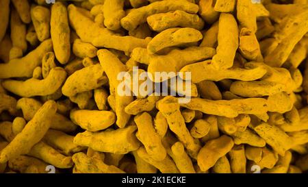 radice di curcuma essiccata cruda. Cumulo di curcimine curcuma. Palo di radice essiccata di curcuma isolato. Foto Stock