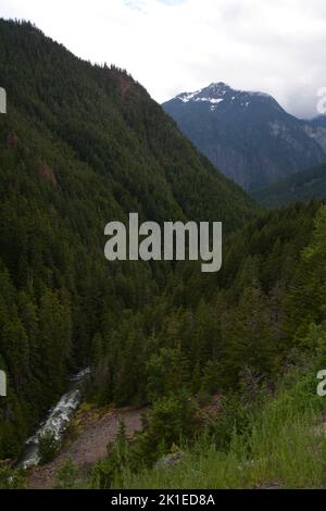 Il fiume Skagit scorre attraverso il Parco Provinciale della Skagit Valley nella catena montuosa delle Cascades del Nord, British Columbia, Canada. Foto Stock