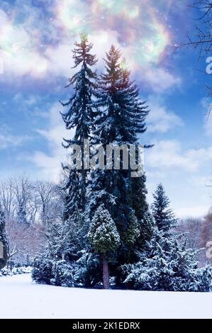bellissimo paesaggio invernale con neve, alberi e cielo nuvoloso Foto Stock