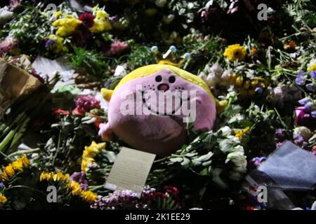 Green Park, Londra, Regno Unito. 17 Settembre 2022. Un mare di tributi floreali adornano i prati e gli alberi del Green Park del centro di Londra, come un pubblico grato e adorante paga i loro ultimi rispetti ad una grande e amata Regina. Credit: ©Julia Mineeva/EGBN TV News/Alamy Live News Foto Stock