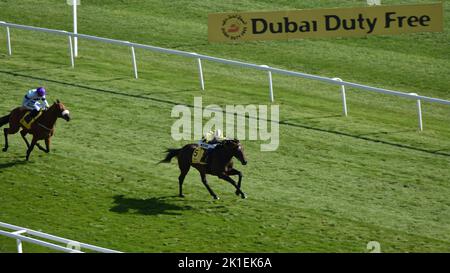 Newbury, Regno Unito. 17th settembre 2022. Sakheer guidato da David Egan vince il Dubai Duty Free Mill Reef Stakes 2,50 davanti al ruggito Encore, guidato da Paul Hanagan, all'ippodromo di Newbury, nel Regno Unito. Credit: Paul Blake/Alamy Live News. Foto Stock