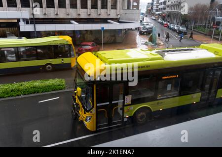 Autobus e traffico su Lambton Quay, Wellington, North Island, Nuova Zelanda Foto Stock