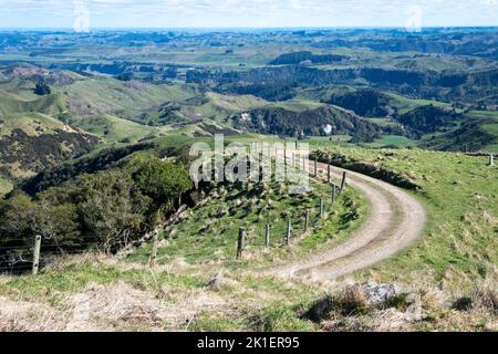 Farm Track in colline, Pohangina Valley, Manawatu, North Island, Nuova Zelanda Foto Stock