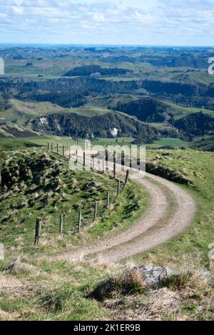 Farm Track in colline, Pohangina Valley, Manawatu, North Island, Nuova Zelanda Foto Stock