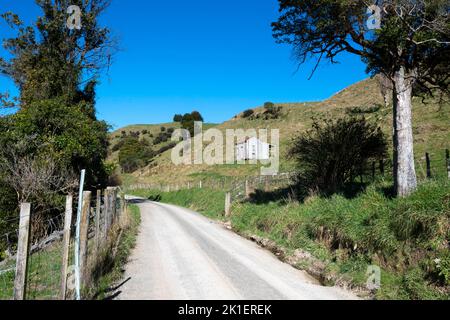 Strada di campagna non sigillata, Pohangina Valley, Manawatu, Isola del Nord, Nuova Zelanda Foto Stock