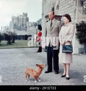 Foto del file datata 02/06/1959 della Regina Elisabetta II e Duca di Edimburgo a Windsor a cui si unisce Sugar, uno dei Corgis reali. Data di emissione: Domenica 18 settembre 2022.. Il credito fotografico dovrebbe essere: PA Wire Foto Stock