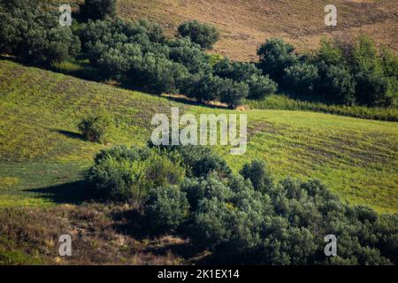 Il comune di Montesilvano è un comune italiano di 1.439 abitanti della provincia di Pescara, Abruzzo, nel sud-est degli Stati Uniti. Foto Stock