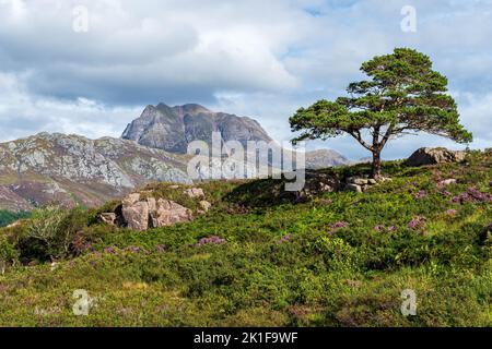 Slioch si trova sulla riva di Loch Maree, Scozia, Regno Unito Foto Stock