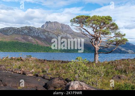 Slioch si trova sulla riva di Loch Maree, Scozia, Regno Unito Foto Stock