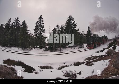 Una locomotiva a vapore ferrovia a scartamento ridotto sul monte Brocken nei monti Harz a Germ Foto Stock