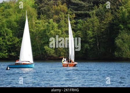 Un paio di barche a vela colorate circondate da alberi lussureggianti presso il Six Lakes Plateau a Duisburg, Germania Foto Stock