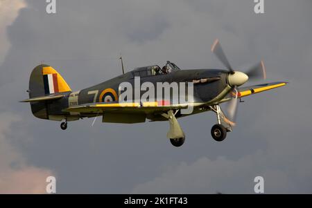 Hawker Sea Hurricane Mk.Ib Z7015 atterrando al crepuscolo, dopo che è esposizione di volo all'IWM Duford Battle of Britain Airshow 10th settembre 2022 Foto Stock