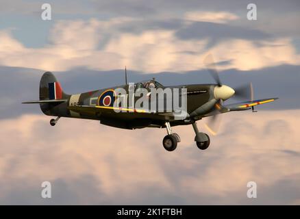 Supermarine Spitfire Mk.Vc AR501, G-AWII atterrando al crepuscolo, dopo che è esposizione di volo alla IWM Duxford Battle of Britain Airshow 10th settembre 2022 Foto Stock