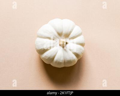 Splendido sfondo di zucca bianca autunnale. Piccola zucca bianca su sfondo beige. Autunno, autunno, Halloween, giorno di ringraziamento, concetto. Piatto, superiore Foto Stock