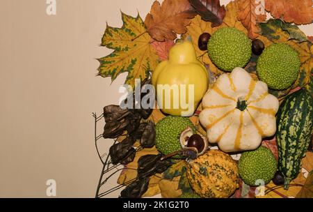 Sfondo beige. Mela cotogna gialla con varie zucche e castagne sulle foglie autunnali. Idea creativa. Foto Stock