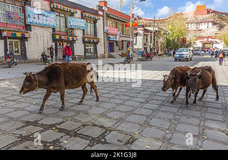 La strada principale della città di Gyantse nella prefettura di Gyantse, Tibet, porta al monastero buddista Pelkor Chode Foto Stock