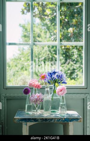 Un colpo verticale di fiori colorati assortiti in vasi individuali su un tavolo di legno di fronte ad una finestra Foto Stock