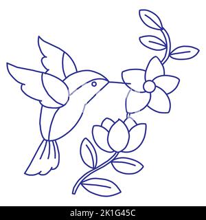 Hummingbird volando e peccando nettare di fiori con becco. Piccolo uccello esotico. Disegno realistico dell'animale tropicale delle Hawaii. Disegno a mano v Foto Stock