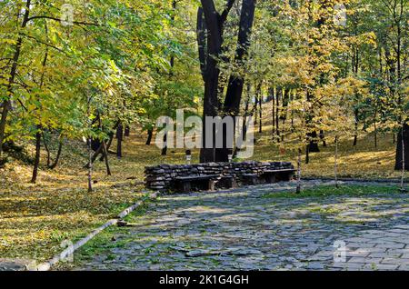 Una colorata foresta autunnale con splendidi alberi ramificati con molte foglie gialle, verdi e marroni Foto Stock