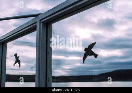 Adesivi anti-urto sul vetro del finestrino. Montagne scure, cielo nuvoloso e lago grigio sullo sfondo Foto Stock