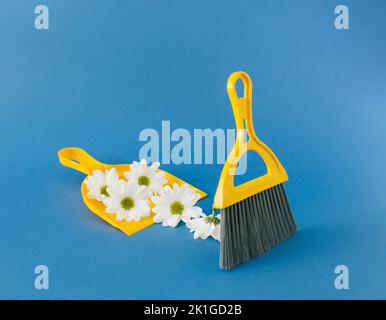 Paletta gialla e spazzola con fiori bianchi di margherite marguerite su sfondo blu. Foto Stock