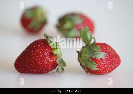 Fragole fresche sparate su fondo bianco, frutto della famiglia Rosaceae. Le bacche più consumate al mondo, coltivate commercialmente Foto Stock