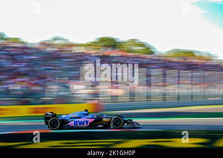 Fernando Alonso (SPA) Alpine A522 durante il Gran Premio d'Italia di Formula 1 a Monza ITA, settembre 14 2022 Foto Stock