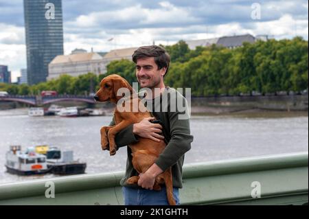 Londra, Regno Unito, 18 settembre 2022 Un visitatore del centro di Londra porta il suo cane sopra il Westminster Bridge. Fate una coda per Westminster Hall per rendere omaggio alla bara della Regina Elisabetta II Credit: JOHNNY ARMSTEAD/Alamy Live News Foto Stock