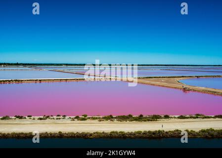 Campo di sale rosa in Camargue francia Foto Stock