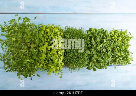 Set di scatole con germogli di spinaci, carote, crisantemo, borragine, cavolo di mizuna su fondo di legno blu. Vista dall'alto, piatto, copia sp Foto Stock