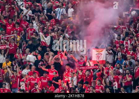 Torino, Italia. 14th Set, 2022. UEFA Champions League 2022-23. Juventus VS Benfica 1-2. Sostenitori Benfica.- foto copyright: Cristiano BARNI/ATP immagini Credit: SPP Sport Press Photo. /Alamy Live News Foto Stock