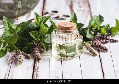 Olio di menta naturale in bottiglia, piante di mentha fresche su vecchio tavolo di legno, olio di menta essenziale, medicina di erbe Foto Stock