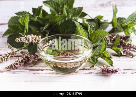 Infondere l'olio di menta in una ciotola, le foglie di mentha e i fiori sulla vecchia tavola bianca, la medicina di erbe e la naturopatia Foto Stock