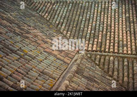 Struttura del tetto. Tegole rosse corrugate. Ripetizione. Foto Stock