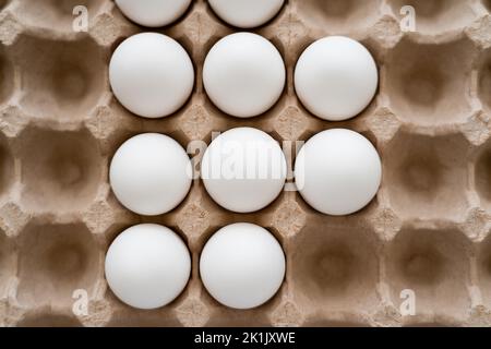 Vista dall'alto delle uova bianche di pollo in un contenitore di cartone Foto Stock