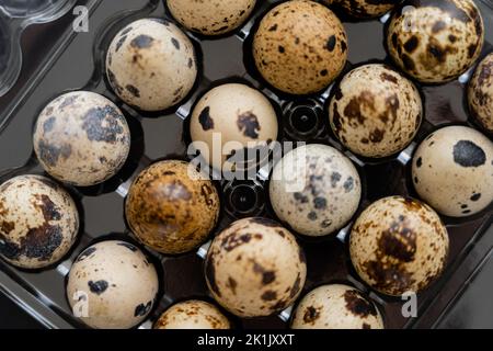 Vista dall'alto delle uova di quaglia naturale in scatola di plastica Foto Stock