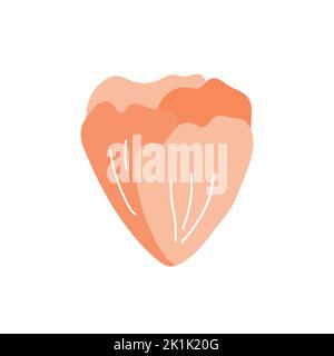 Carino fiore rosa isolato su sfondo bianco. Illustrazione vettoriale in stile piatto disegnato a mano. Perfetto per carte, logo, decorazioni Illustrazione Vettoriale