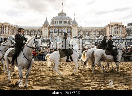 2022-09-19 10:36:00:19 SCHEVENINGEN - membri della Cavalleria Honorary scorta pratica sul Soldato di Oranjestrand per Prinsjesdag. I cavalli e i piloti coinvolti vengono sottoposti a un test finale rigoroso esponendoli a colpi di cannone, colpi di cannone, musica, fumo e possibili reazioni pubbliche. ANP REMKO DE WAAL olanda fuori - belgio fuori Foto Stock